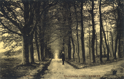 12218 Gezicht in de Rhenensche Laan in het Remmersteinsche Bos bij Rhenen.